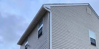 Best Storm Damage Siding Repair  in Woodbine, IA